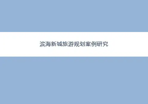 滨海新城案例研究