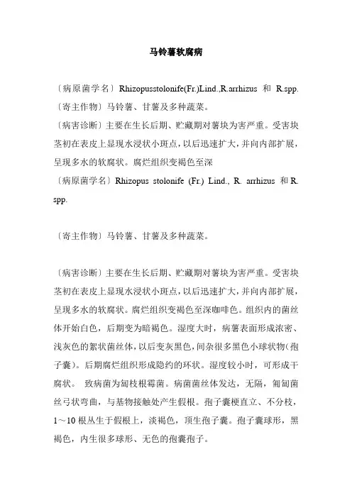 马铃薯软腐病