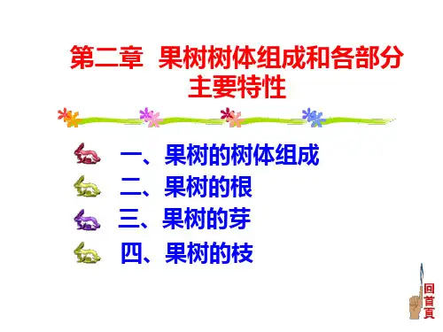 第二讲1 第二章果树的树体结构和各部分的主要特性