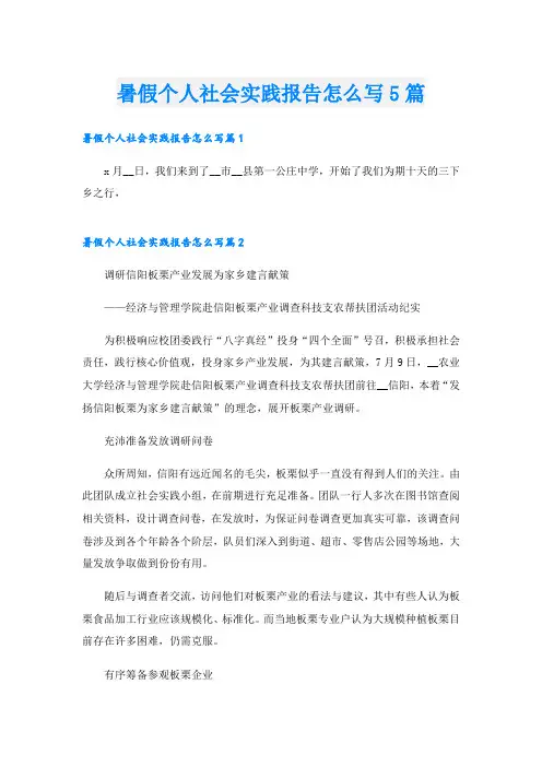 暑假个人社会实践报告怎么写5篇