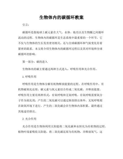 生物体内的碳循环教案