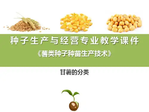 甘薯品种类型与优良品种—甘薯的类型与主要优良品种介绍