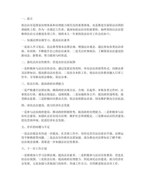 依法治市个人工作总结