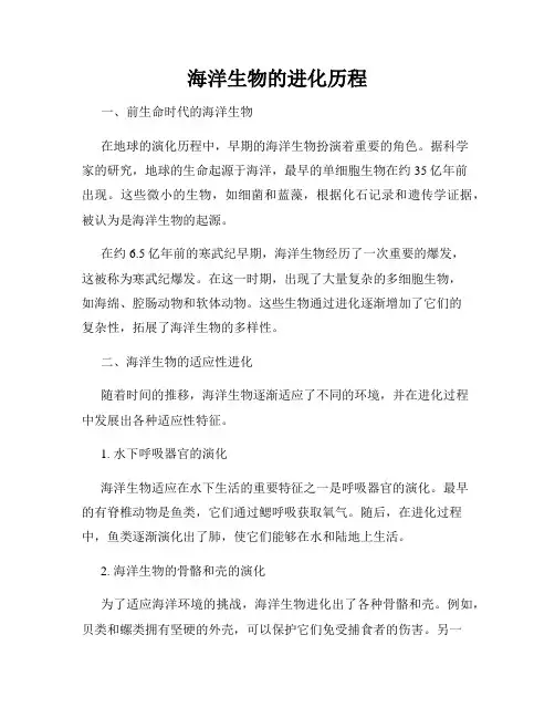 海洋生物的进化历程