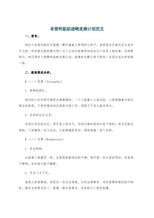 非营利组织战略发展计划范文