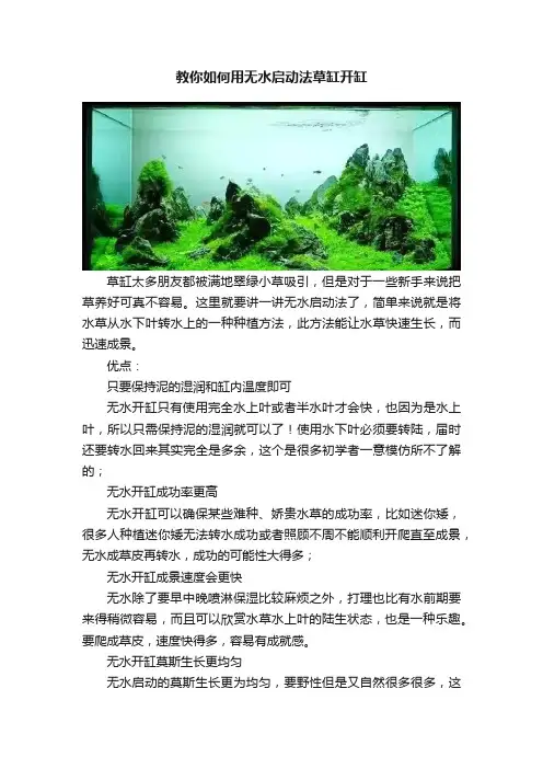 教你如何用无水启动法草缸开缸