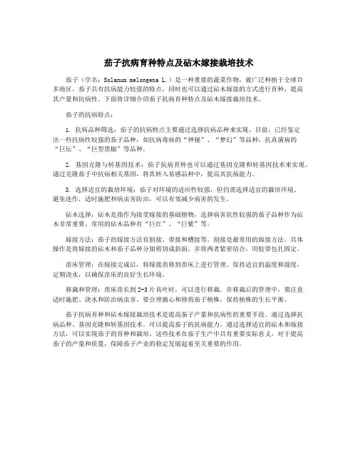 茄子抗病育种特点及砧木嫁接栽培技术
