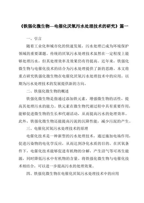 《2024年铁强化微生物—电催化厌氧污水处理技术的研究》范文