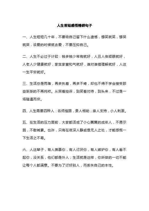 人生苦短感悟精辟句子