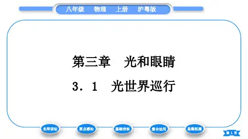 粤沪版八年级物理上第三章光和眼睛3