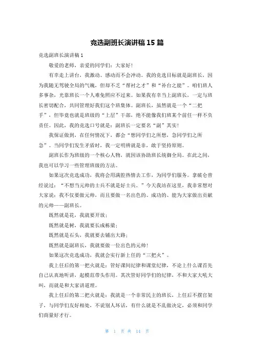 竞选副班长演讲稿15篇