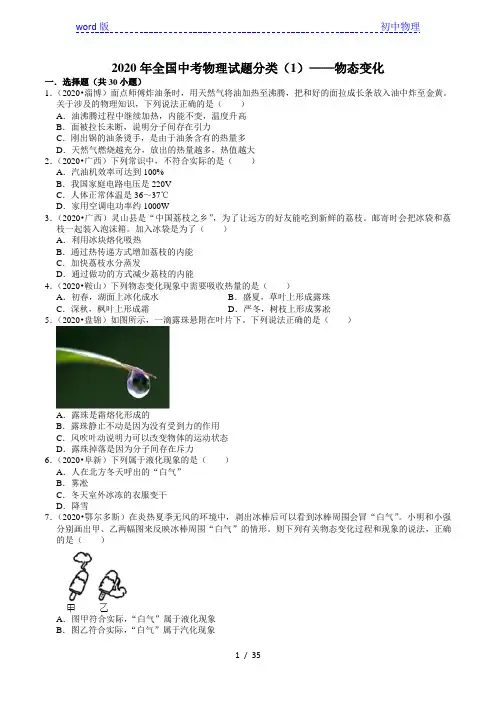 2020年全国中考物理试题分类(1)——物态变化(含解析)