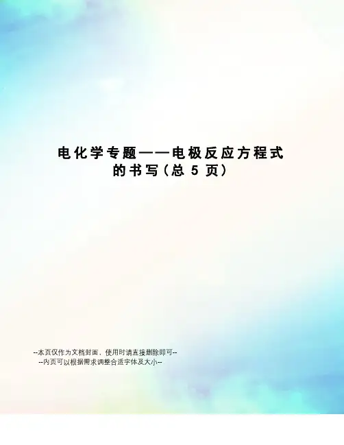 电化学专题——电极反应方程式的书写