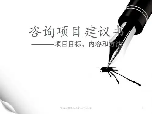 服装行业咨询项目建议书