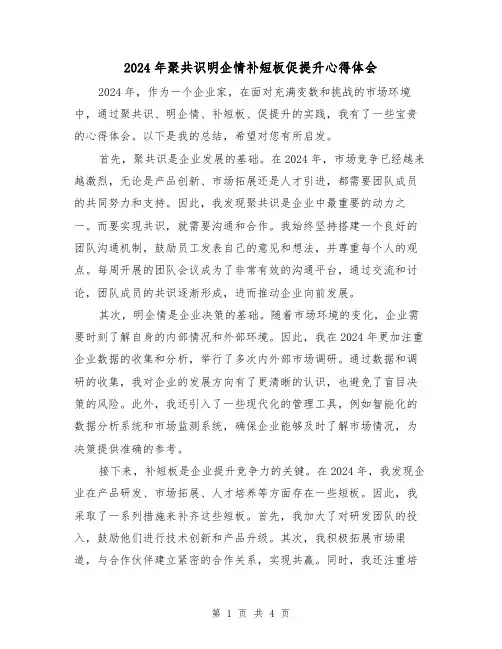 2024年聚共识明企情补短板促提升心得体会(2篇)