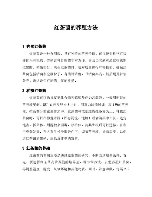红茶菌的养殖方法