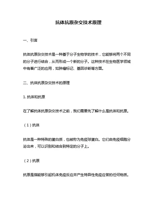 抗体抗原杂交技术原理