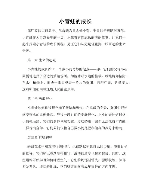 小青蛙的成长