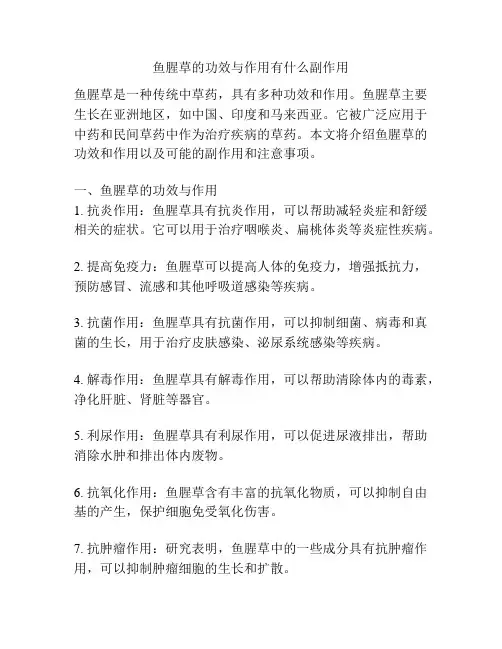 鱼腥草的功效与作用有什么副作用