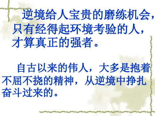论逆境精品PPT课件