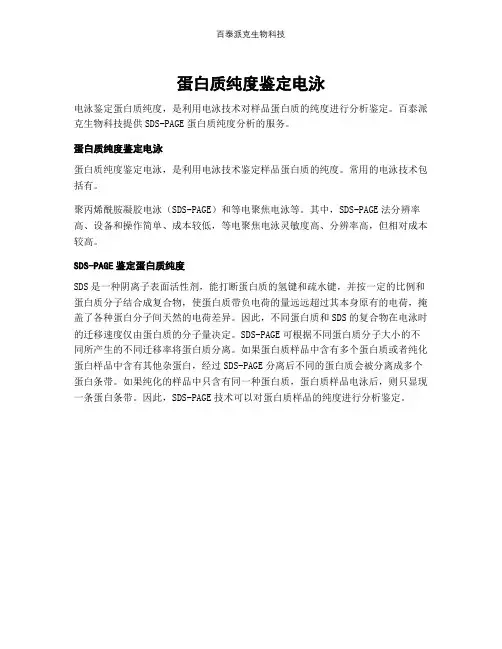 蛋白质纯度鉴定电泳