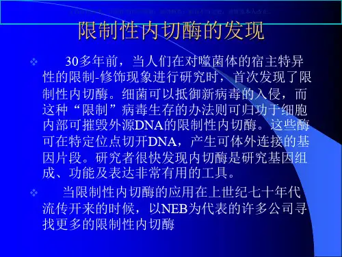 限制性内切酶的应用课件