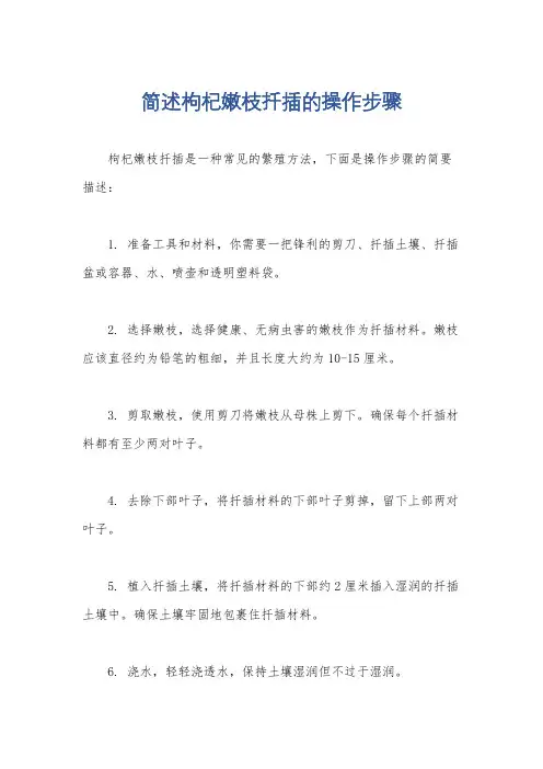简述枸杞嫩枝扦插的操作步骤