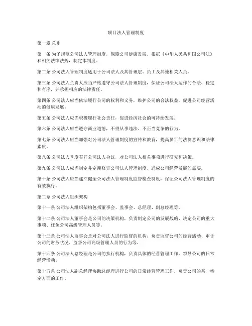项目法人管理制度