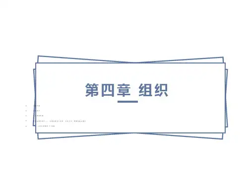 管理学概论第四章组织