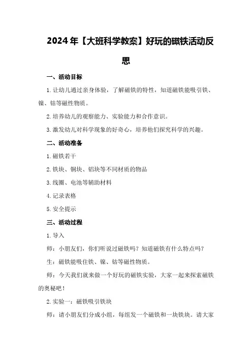 2024年【大班科学教案】好玩的磁铁活动反思