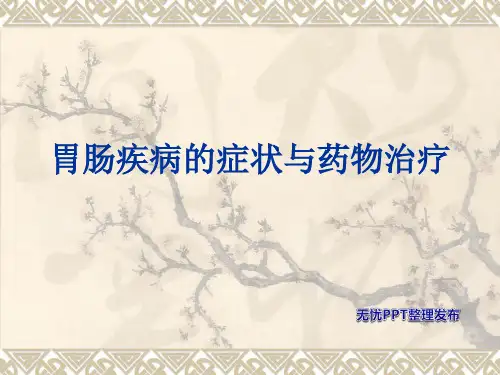 胃病课题PPT 