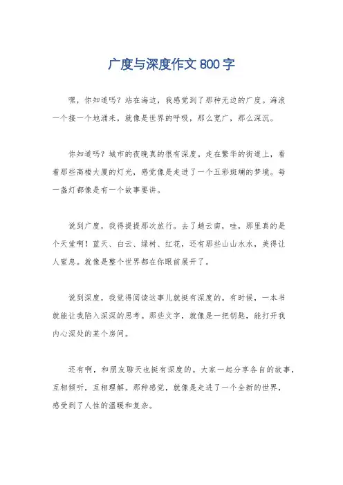 广度与深度作文800字
