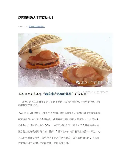 虾夷扇贝控温人工育苗技术