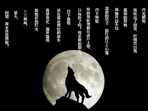 《狼王梦》好书推荐解析
