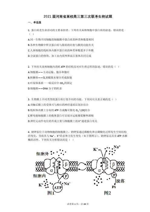 2021届河南省某校高三第三次联考生物试题(有答案)
