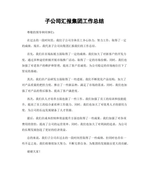 子公司汇报集团工作总结