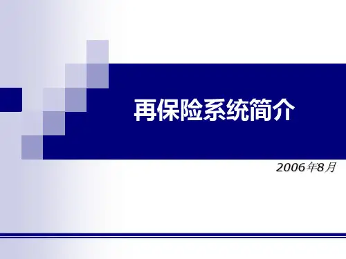 再保险系统简介