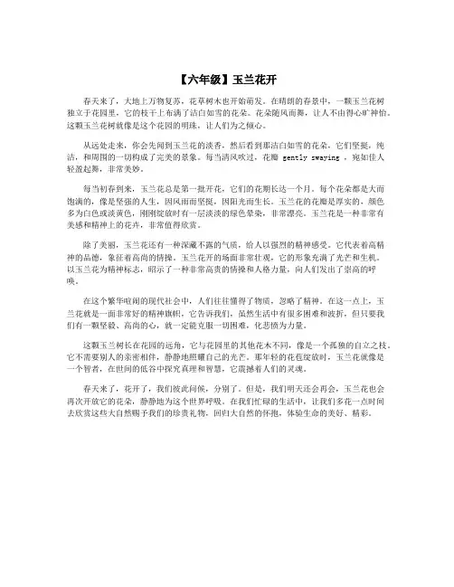 【六年级】玉兰花开
