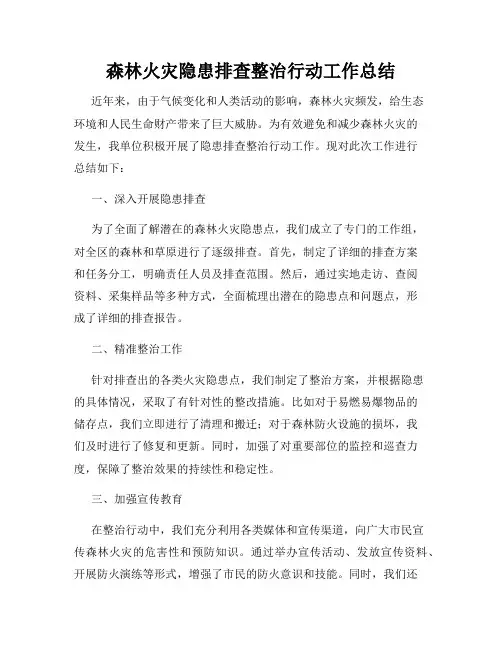 森林火灾隐患排查整治行动工作总结
