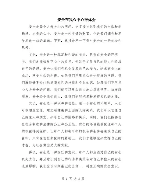 安全在我心中心得体会