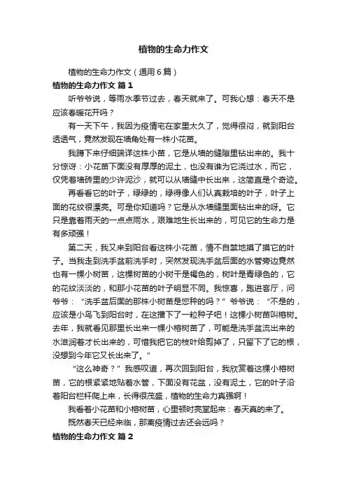 植物的生命力作文（通用6篇）