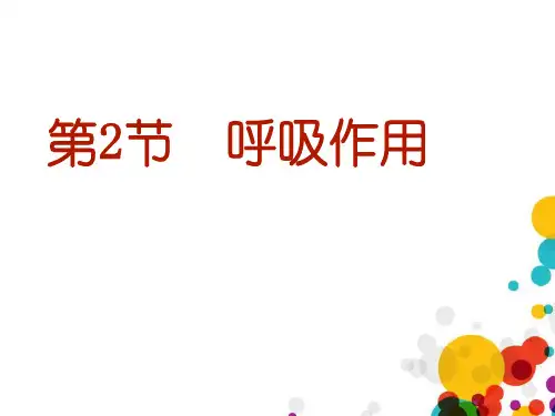 北师大版七年级生物上册 呼吸作用 课件