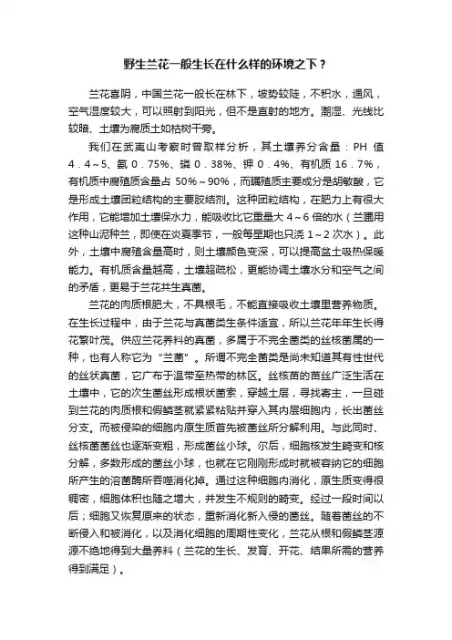 野生兰花一般生长在什么样的环境之下？
