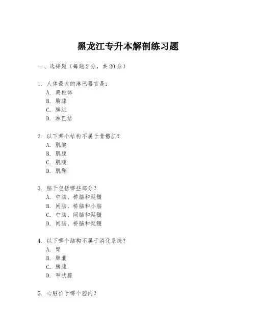 黑龙江专升本解剖练习题