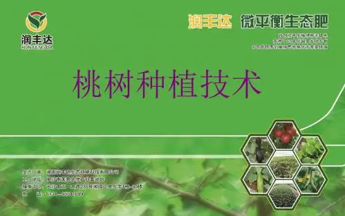 桃树种植技术