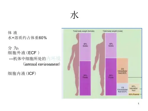 重症病人内环境紊乱诊治课件