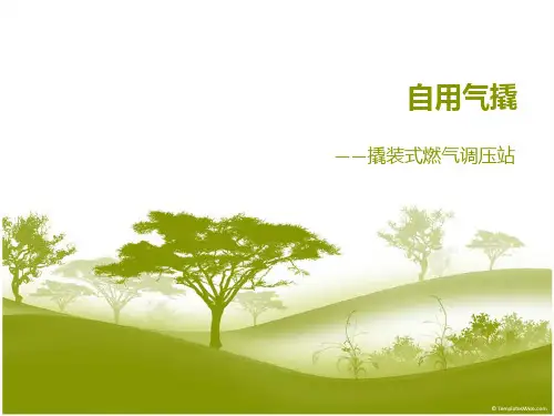 自用气撬PPT课件