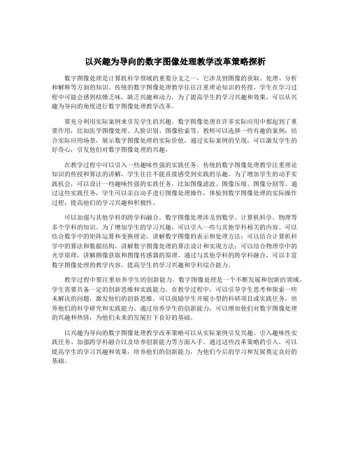 以兴趣为导向的数字图像处理教学改革策略探析