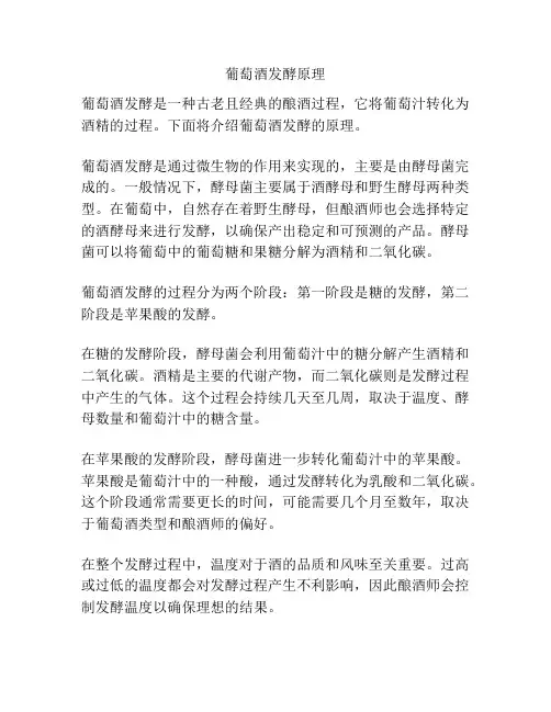 葡萄酒发酵原理