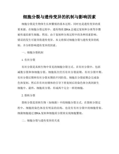 细胞分裂与遗传变异的机制与影响因素